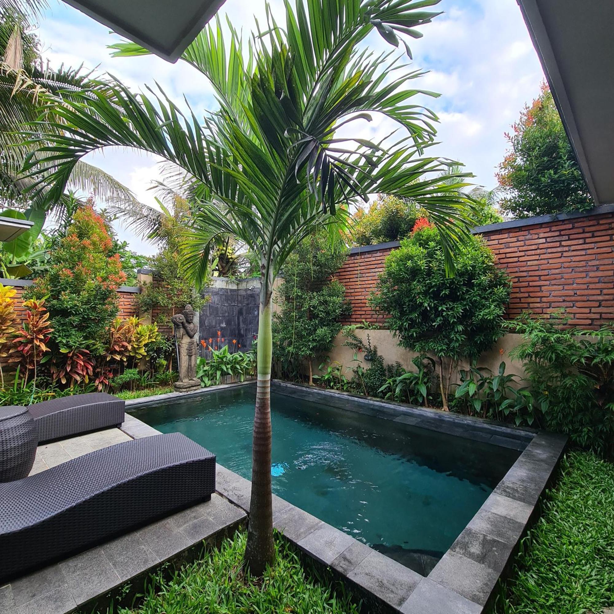 Ubud Suarga Private Pool Villa Bagian luar foto